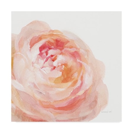 Danhui Nai 'Garden Rose On White Crop' Canvas Art,35x35